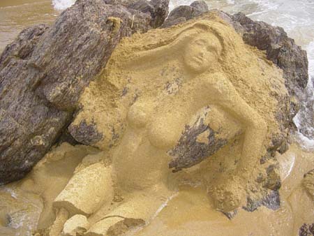 DSC01980