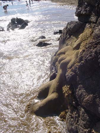 DSC02128